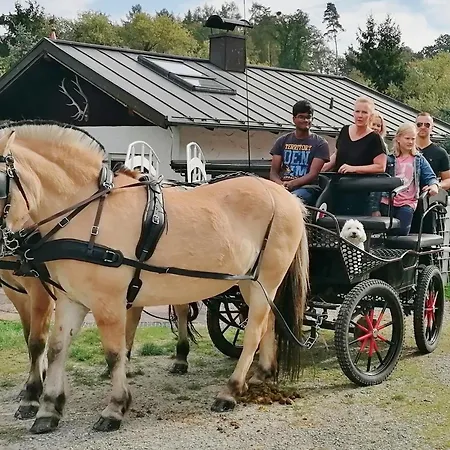 بيت ضيافة Stern Rauenberg (Baden-Wurttemberg)