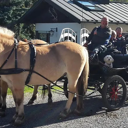 Stern Vendégház Rauenberg
