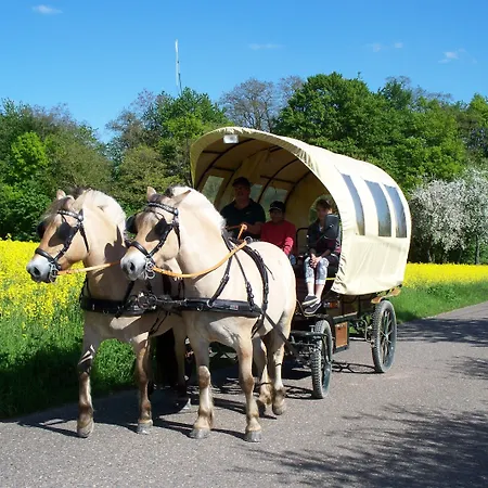 Stern 3* Rauenberg (Baden-Wurttemberg)